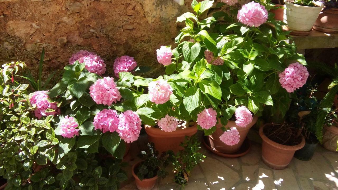 Guesthouse Wish Stari Grad  Exterior photo